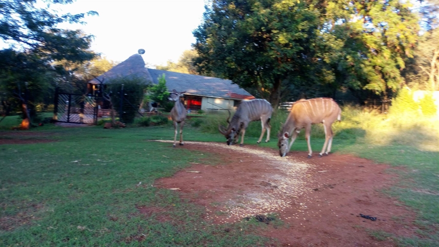 Commercial Property for Sale in Parys Free State